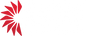 Black Start, LLC - Home